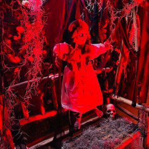 Halloween Themed Decorations & Events