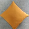 Orange Cushion