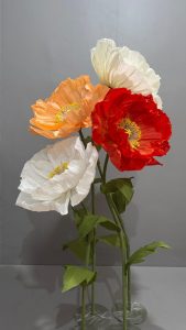 Yellow rad and white rose