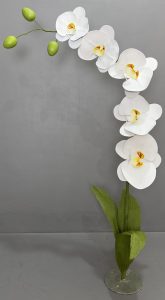 Giant FlowersDubai