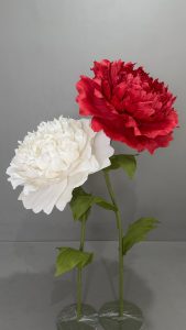 Red and white flower