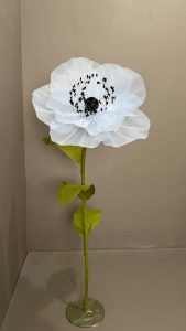 White Rose