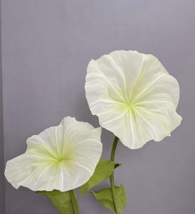 Flower - Giant Flowers