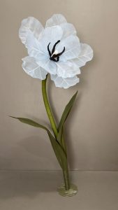 UAE Giant Flowers