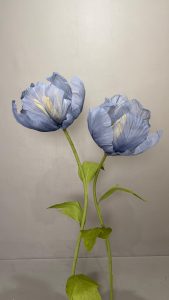 Giant Flowers