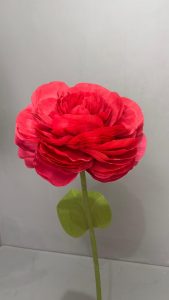 Giant Flowers